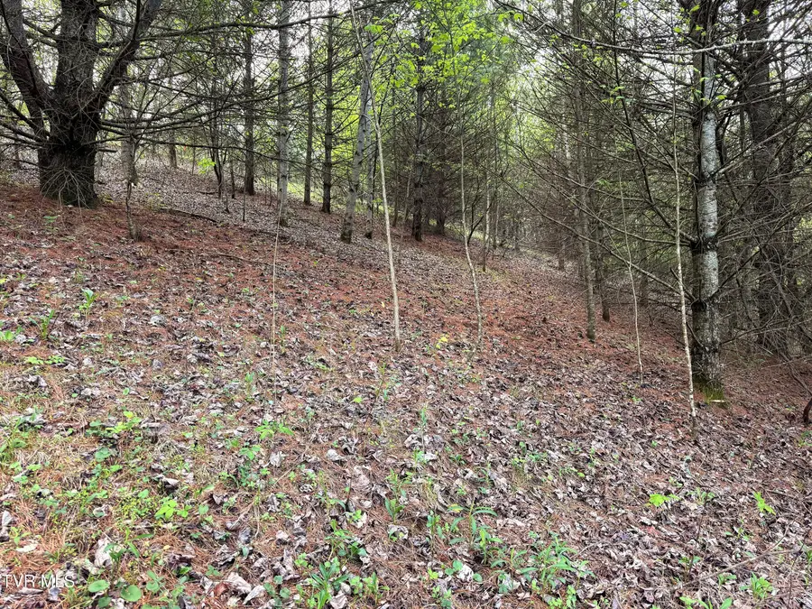 Lot 11 Cowan Town Road, Butler, TN 37640 - #3