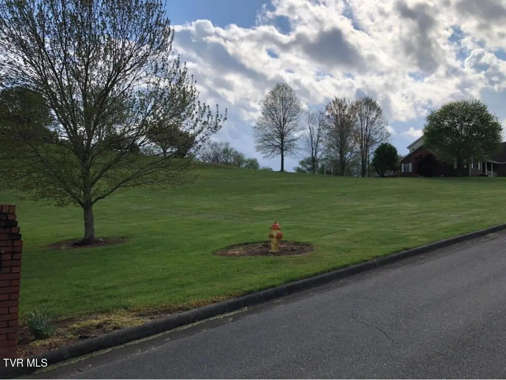 Lot 10 Oak View Street, Mountain City, TN 37683 - #1