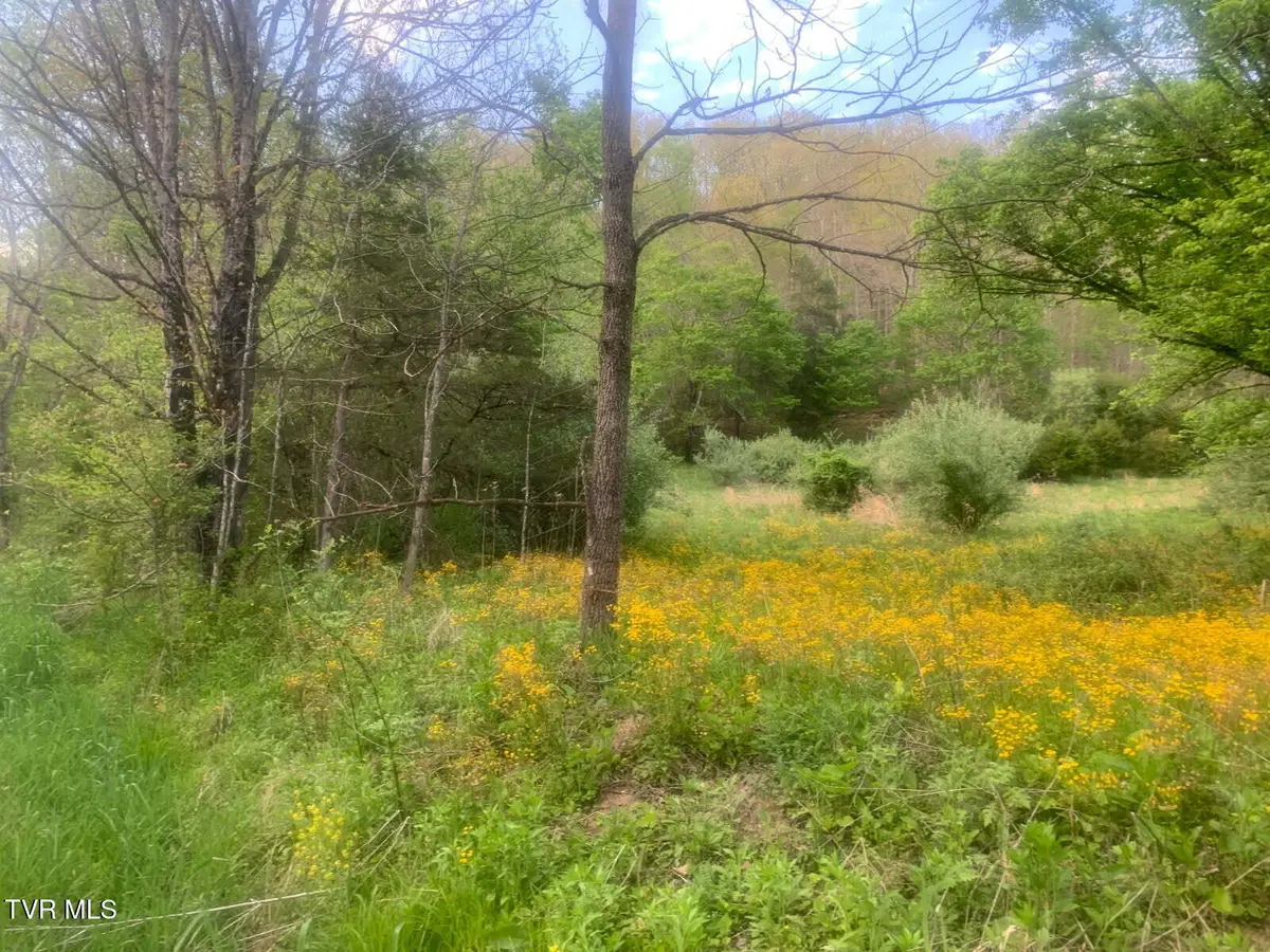 Tbd Osborne Ridge Road, Dungannon, VA 24245 - #1