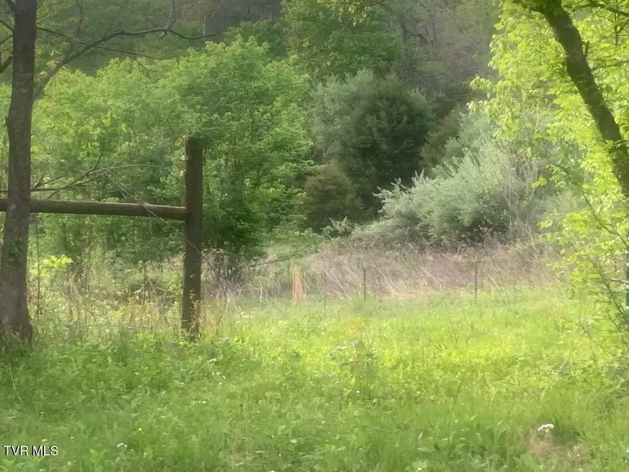 Tbd Osborne Ridge Road, Dungannon, VA 24245 - #2