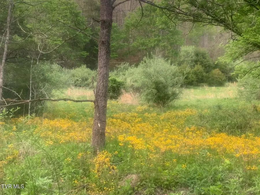 Tbd Osborne Ridge Road, Dungannon, VA 24245 - #3