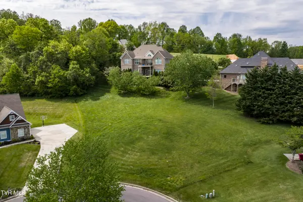 4 Honeysuckle Court, Johnson City, TN 37615