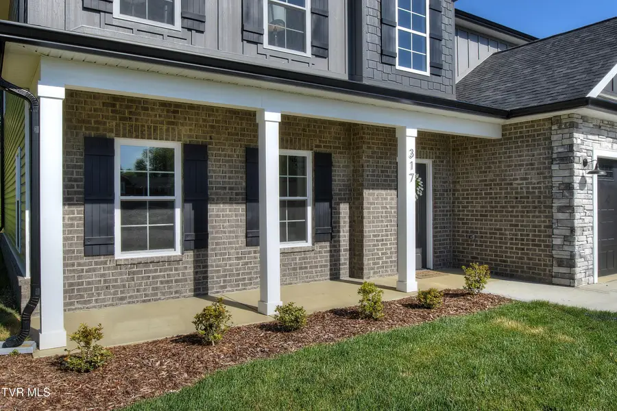 317 Ty's Place, Kingsport, TN 37663 - #3