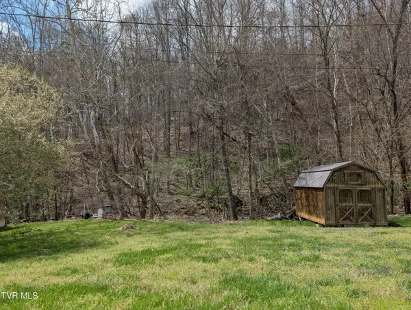 Tbd Cliff Mountain Way, Duffield, VA 24244