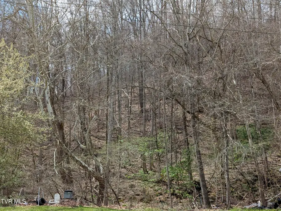 Tbd Cliff Mountain Way, Duffield, VA 24244 - #2