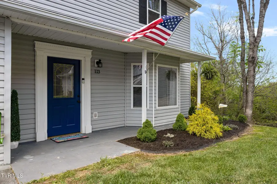 113 Copper Court, Johnson City, TN 37601 - #3