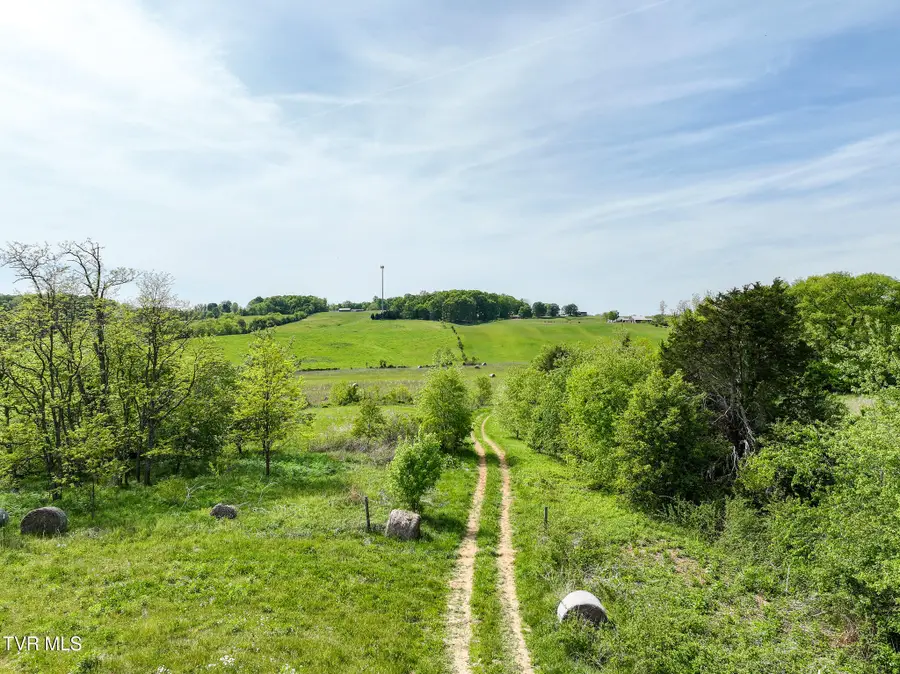 Lots 6&7 Rheatown Road, Chuckey, TN 37641 - #3