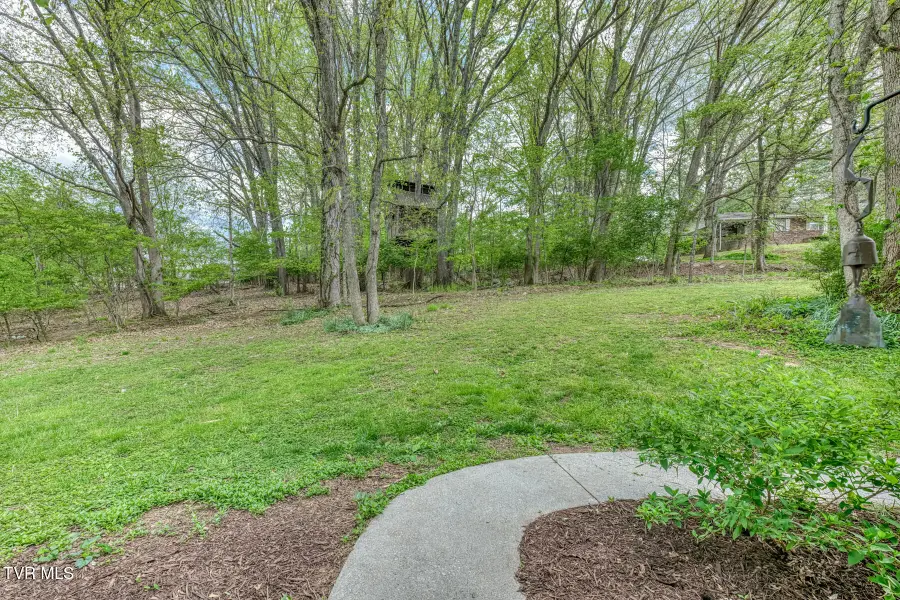 713 Crowell Lane, Johnson City, TN 37601 - #3