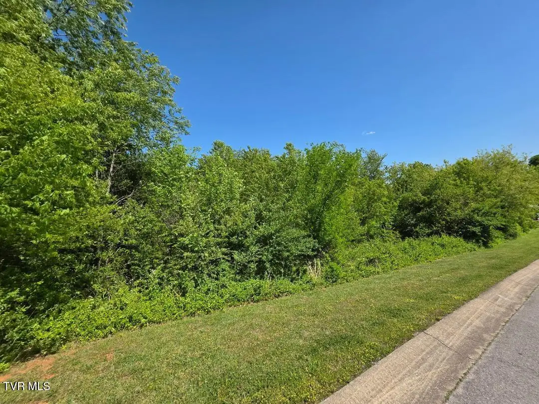 Lot 68 Southview Circle, Kodak, TN 37764 - #1