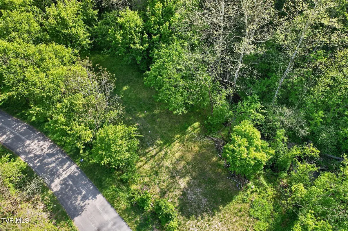 Tbd Mill Creek Road, Fort Blackmore, VA 24250 - #1