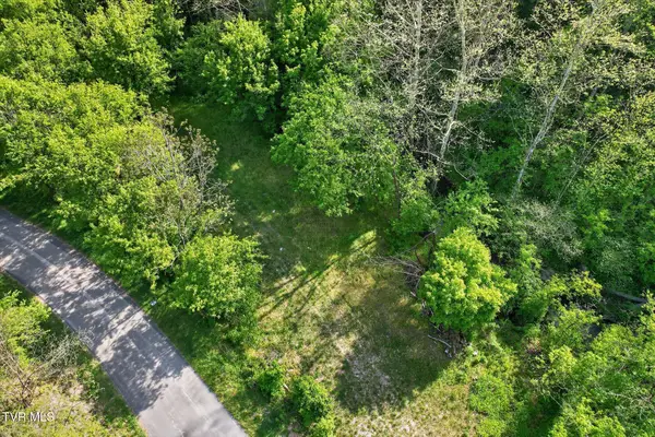 Tbd Mill Creek Road, Fort Blackmore, VA 24250