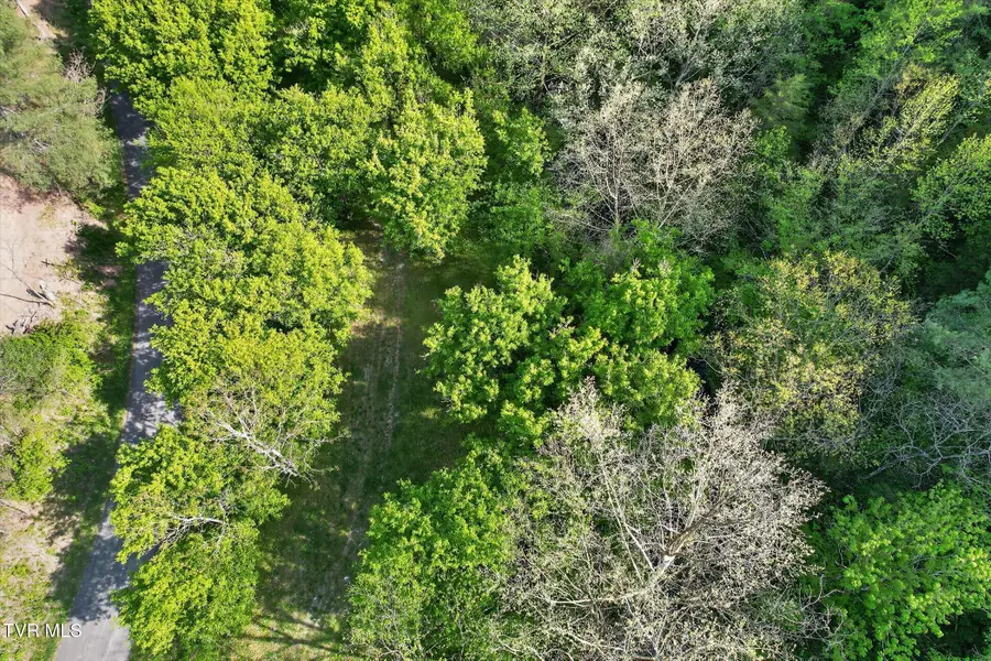 Tbd Mill Creek Road, Fort Blackmore, VA 24250 - #2