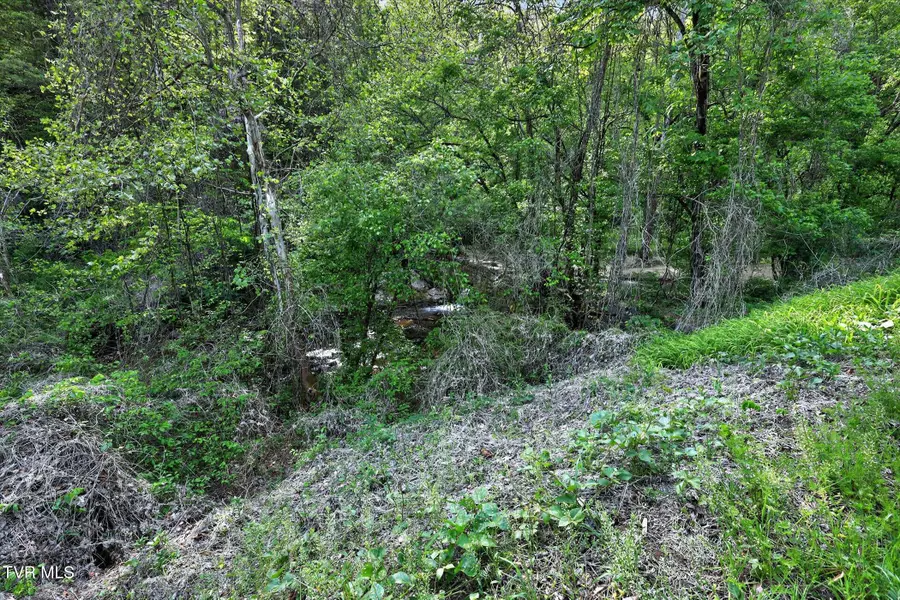 Tbd Mill Creek Road, Fort Blackmore, VA 24250 - #3