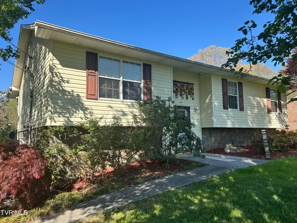 163 Austin Drive, Rogersville, TN 37857