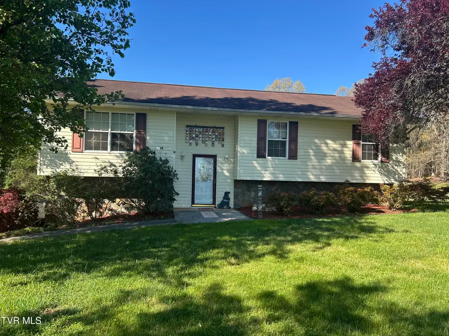 163 Austin Drive, Rogersville, TN 37857 - #3