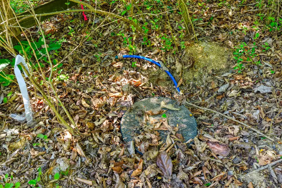 Lot 4 Golf Course Road #Lot 4, Rogersville, TN 37857 - #2