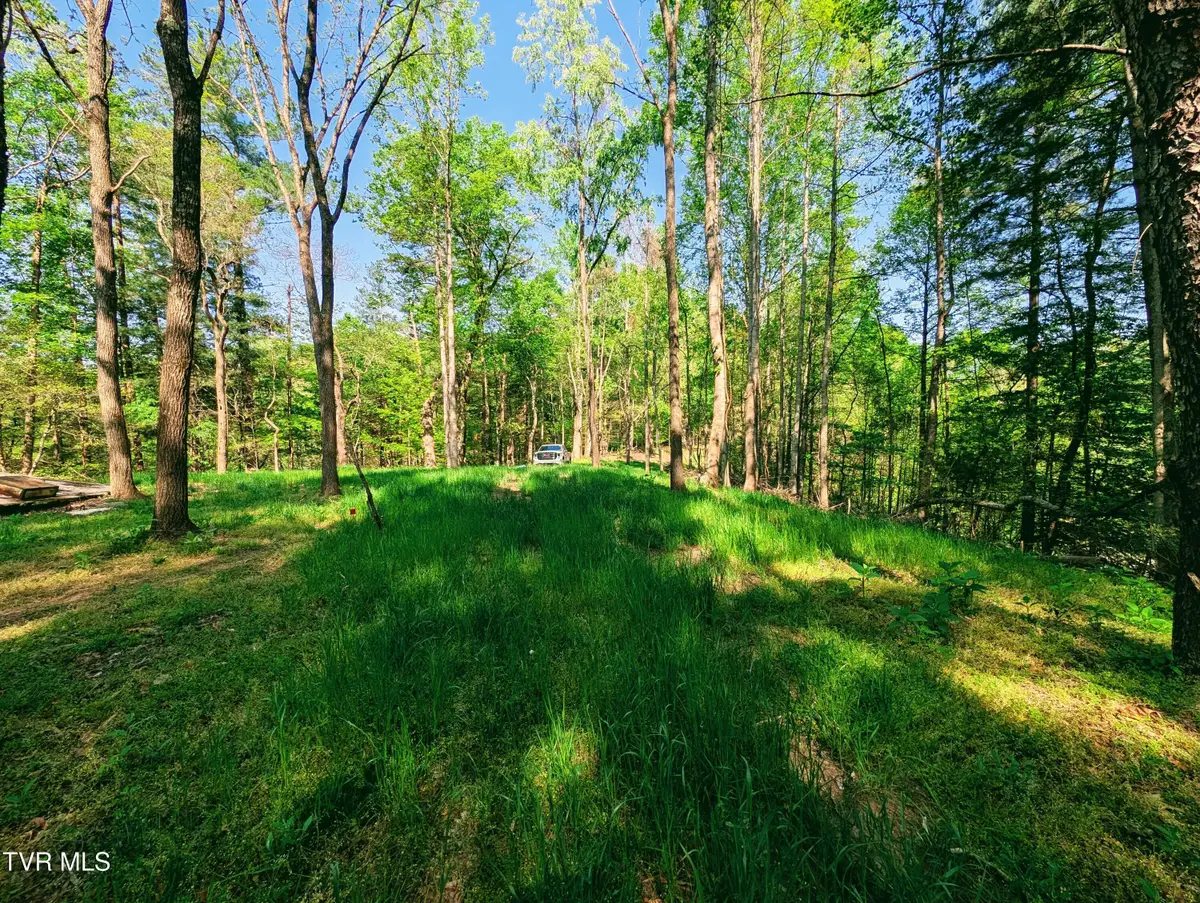 Tbd Leaf Ridge, Clintwood, VA 24228 - #1