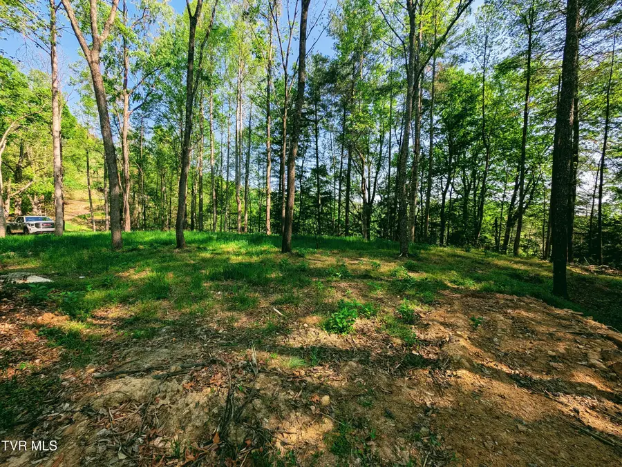 Tbd Leaf Ridge, Clintwood, VA 24228 - #2