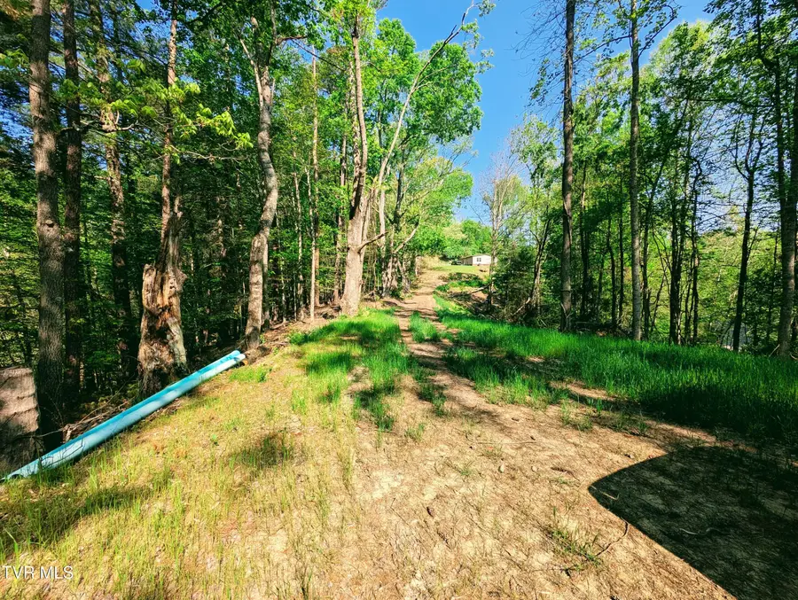 Tbd Leaf Ridge, Clintwood, VA 24228 - #3