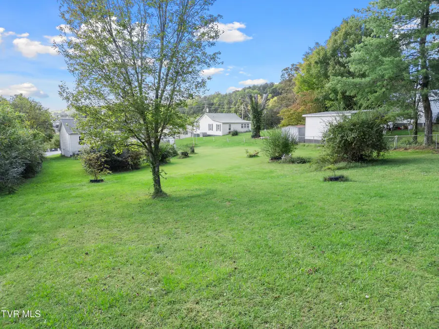 507 Crescent Drive, Greeneville, TN 37743 - #2