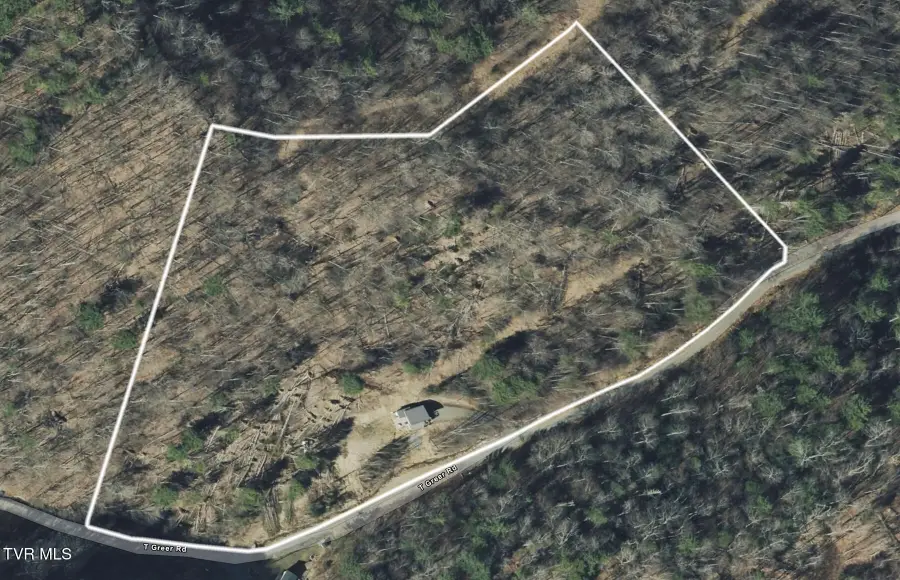 633 T Greer Road, Mountain City, TN 37683 - #2