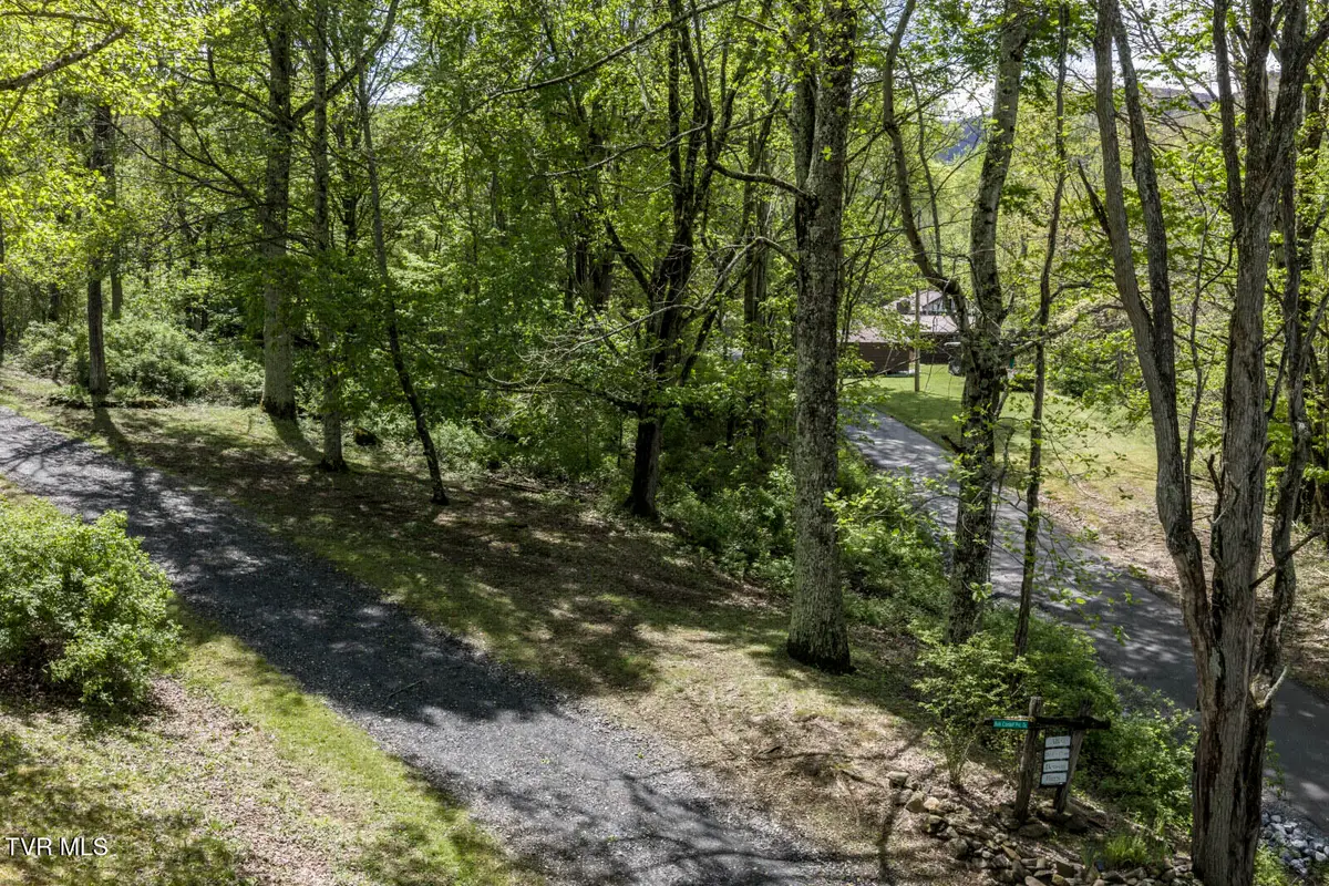 0 Heaton Creek Road, Roan Mountain, TN 37687 - #1