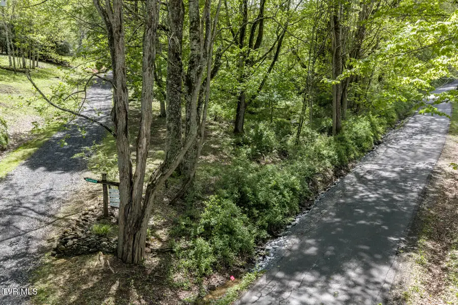0 Heaton Creek Road, Roan Mountain, TN 37687 - #3