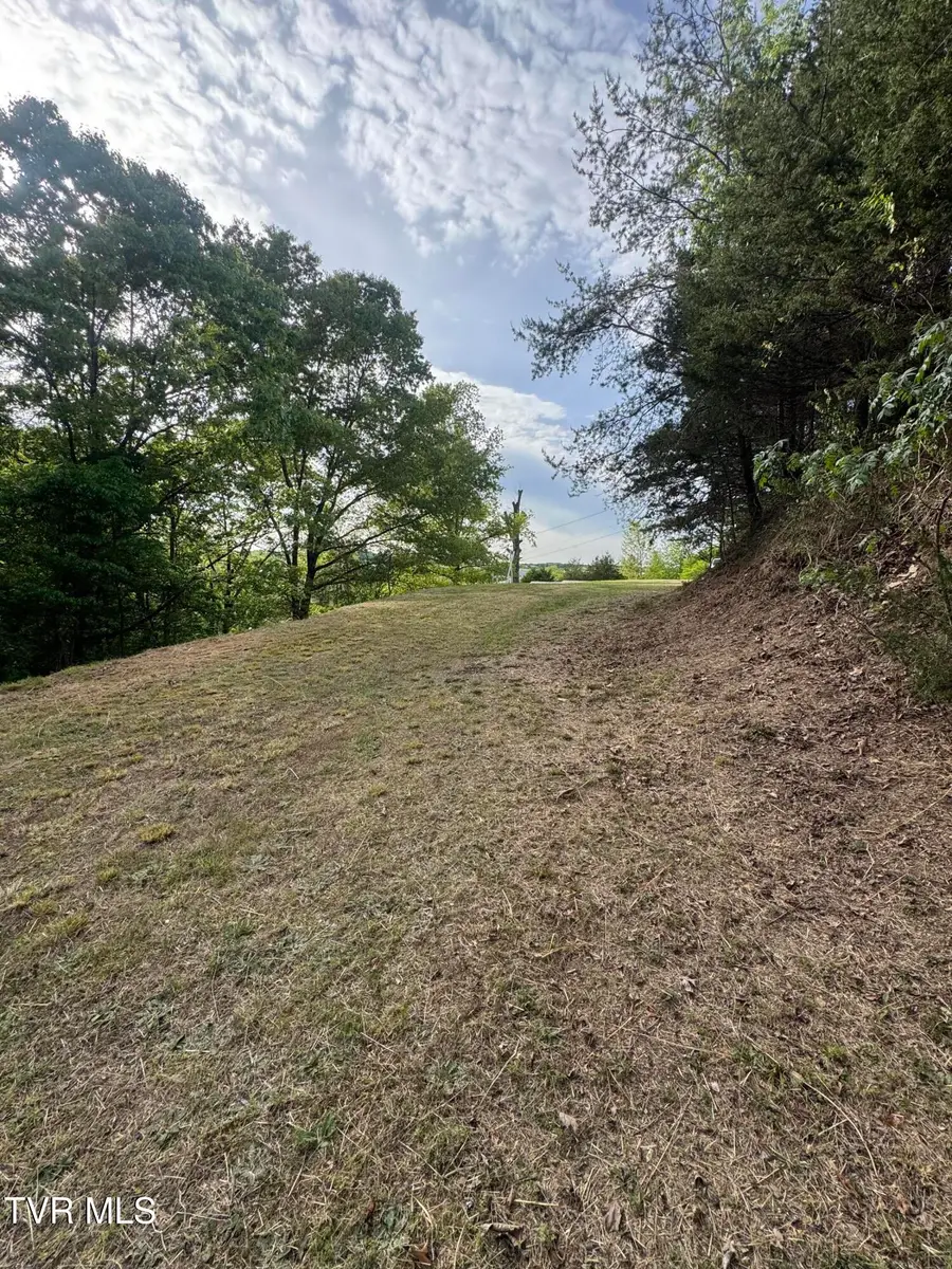 328 Tester Hollow Road, Piney Flats, TN 37686 - #3