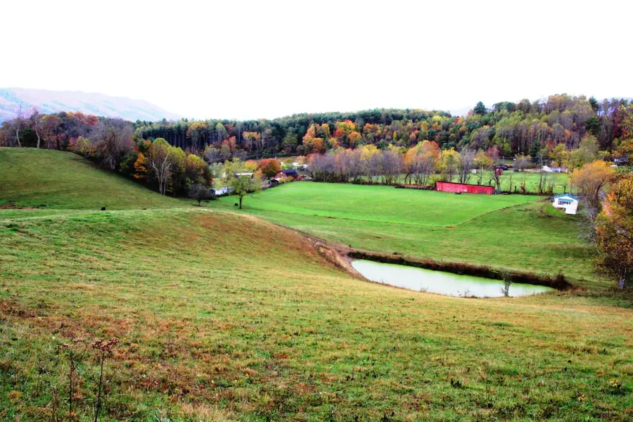 256 Morley Road, Mountain City, TN 37683 - #2