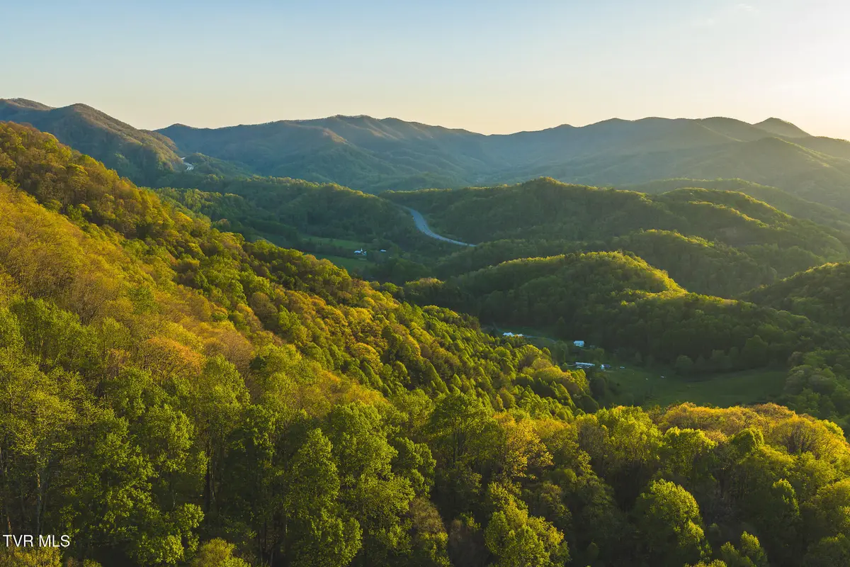 Tbd Gentry Mountain, Flag Pond, TN 37657 - #1