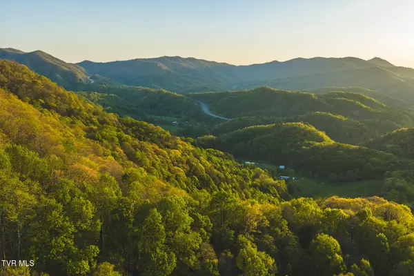 Tbd Gentry Mountain, Flag Pond, TN 37657