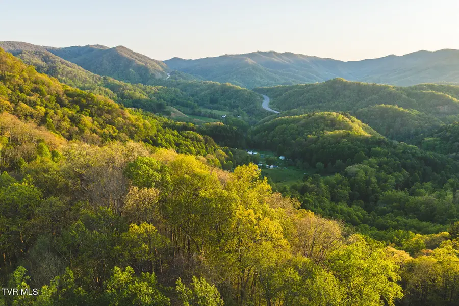 Tbd Gentry Mountain, Flag Pond, TN 37657 - #2