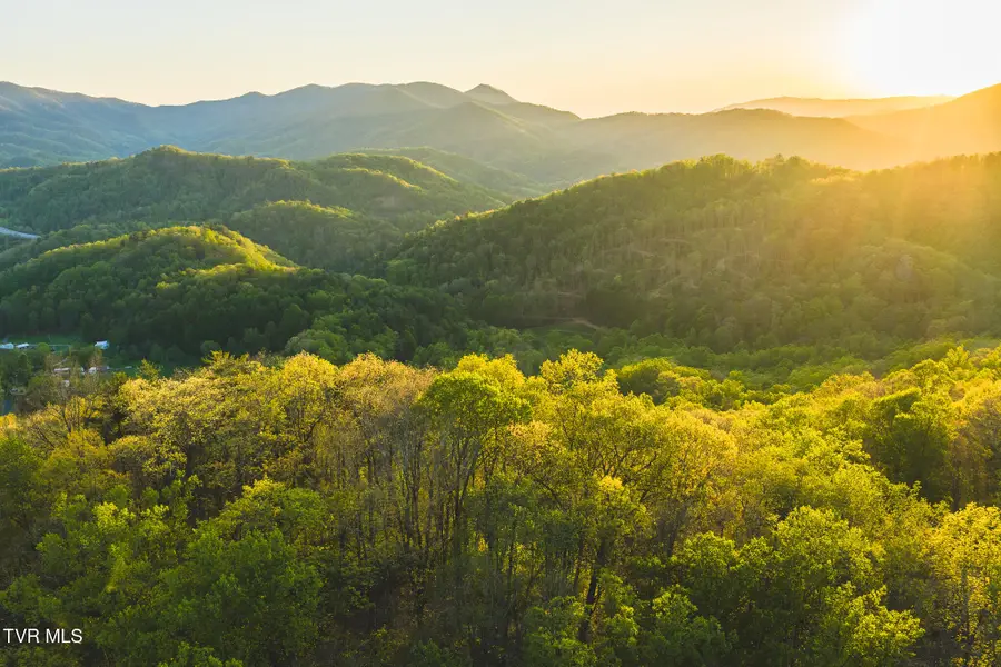 Tbd Gentry Mountain, Flag Pond, TN 37657 - #3