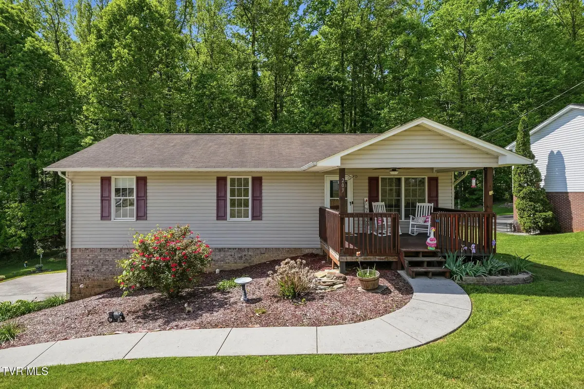 203 Valley Crest Drive, Mount Carmel, TN 37645 - #1