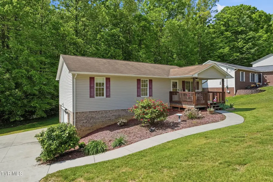 203 Valley Crest Drive, Mount Carmel, TN 37645 - #3
