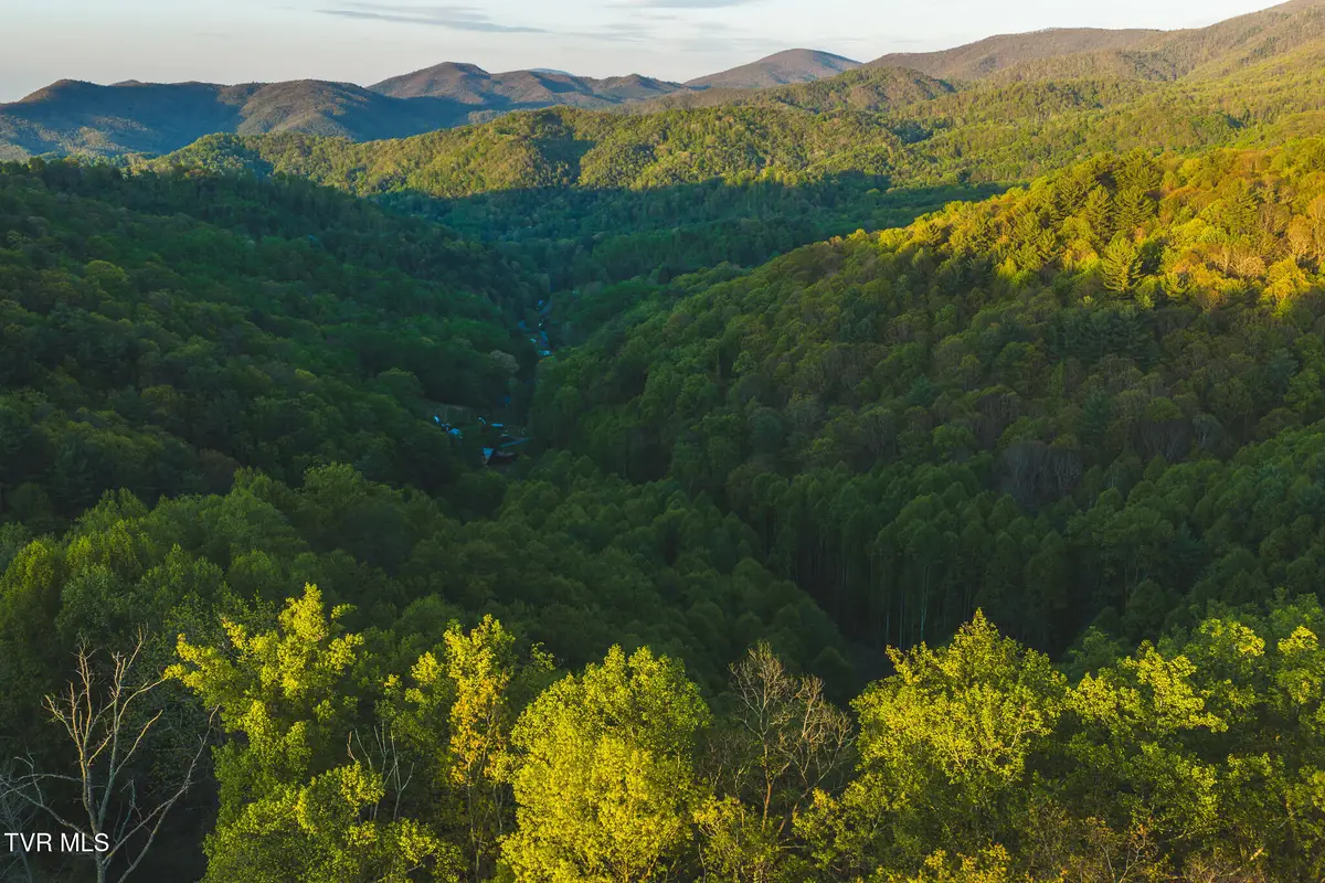 Tbd Cole Road, Flag Pond, TN 37657 - #1