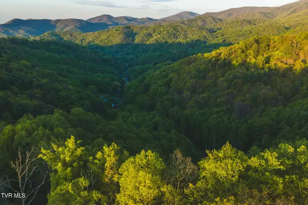 Tbd Cole Road, Flag Pond, TN 37657