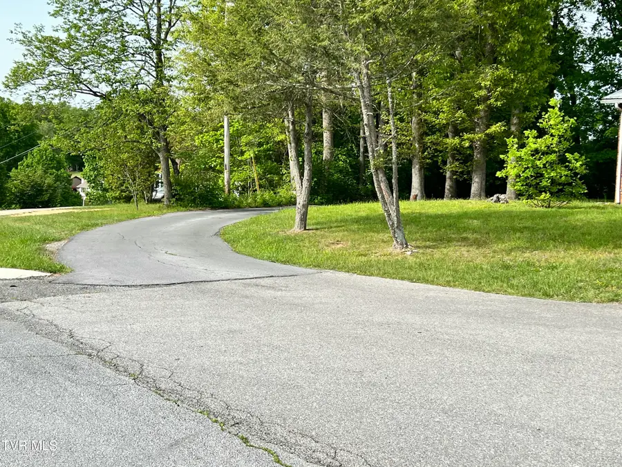 150 Joe Hale Drive, Johnson City, TN 37615 - #3