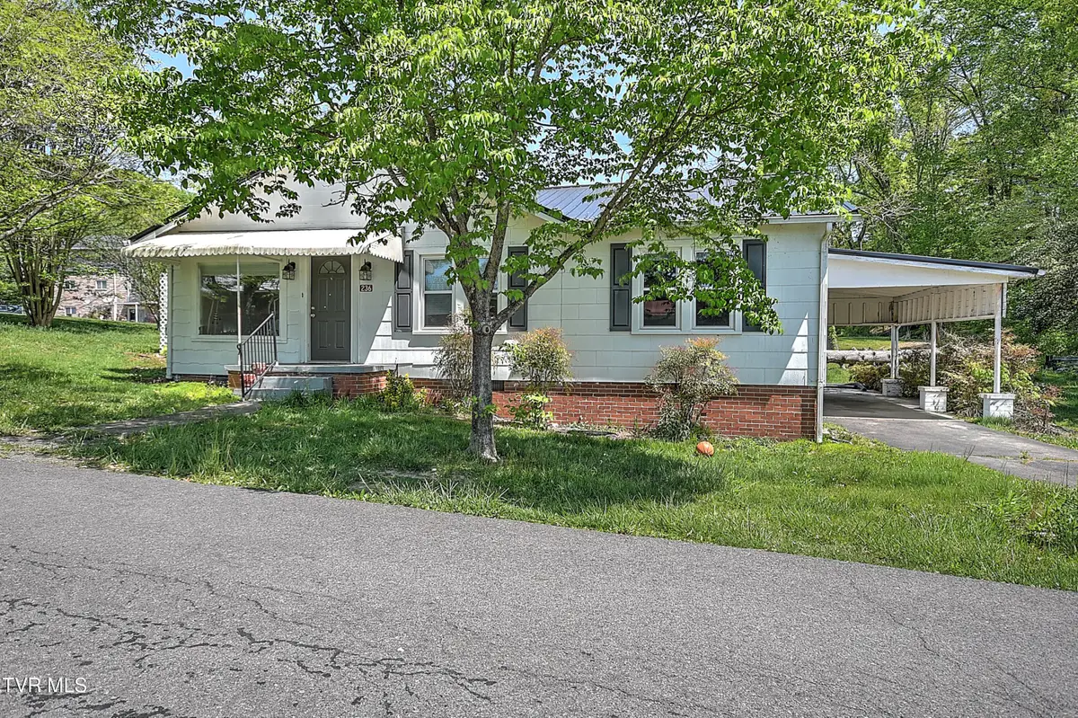 236 Kermit Road, Weber City, VA 24290 - #1