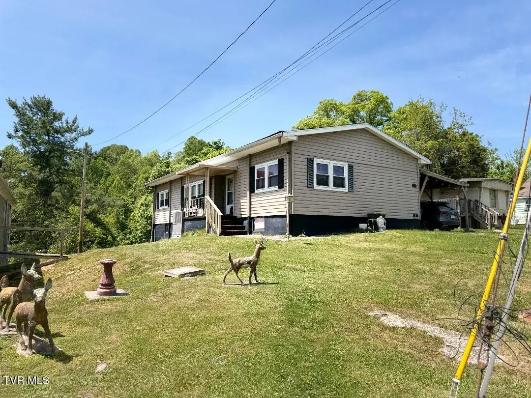 164 Elliott Drive, Gate City, VA 24251 - #1