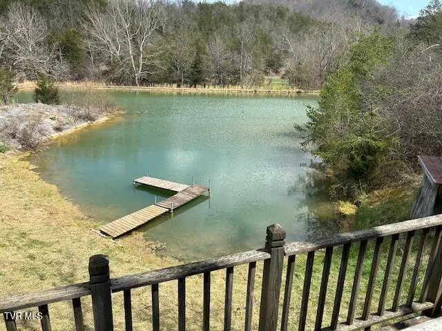 742 Black Sheep Hollow Road, Sneedville, TN 37869 - #3