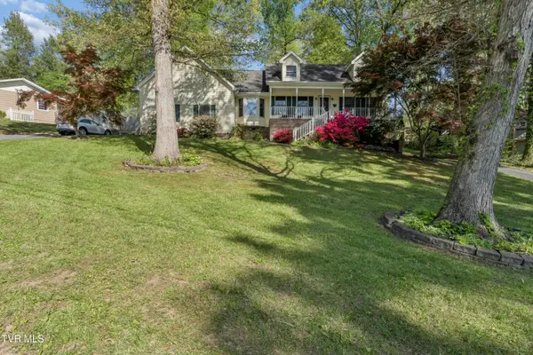 802 Chestnut Avenue, Erwin, TN 37650