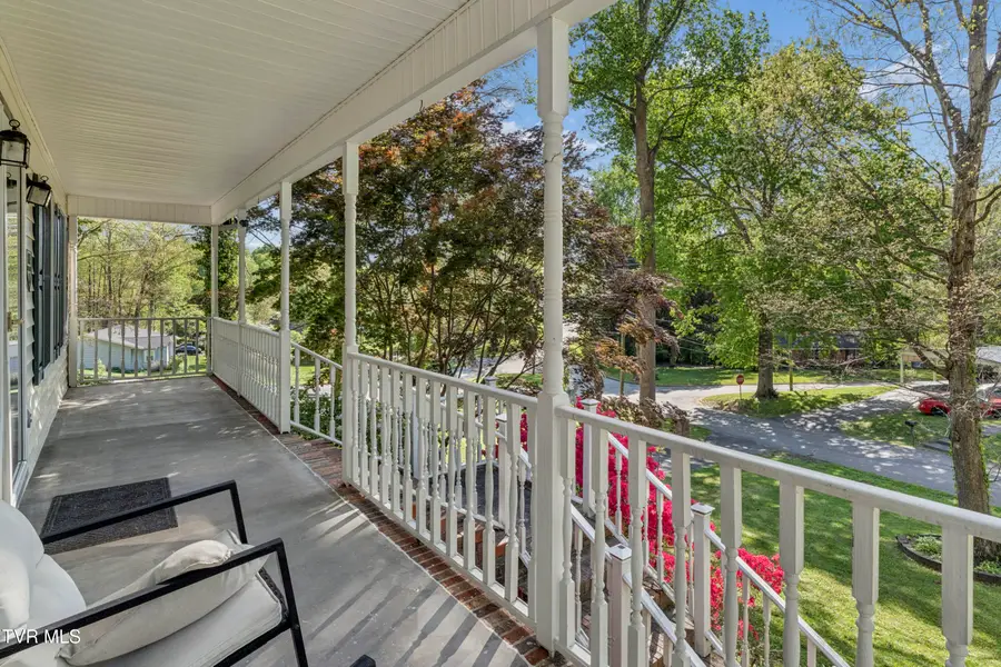 802 Chestnut Avenue, Erwin, TN 37650 - #3