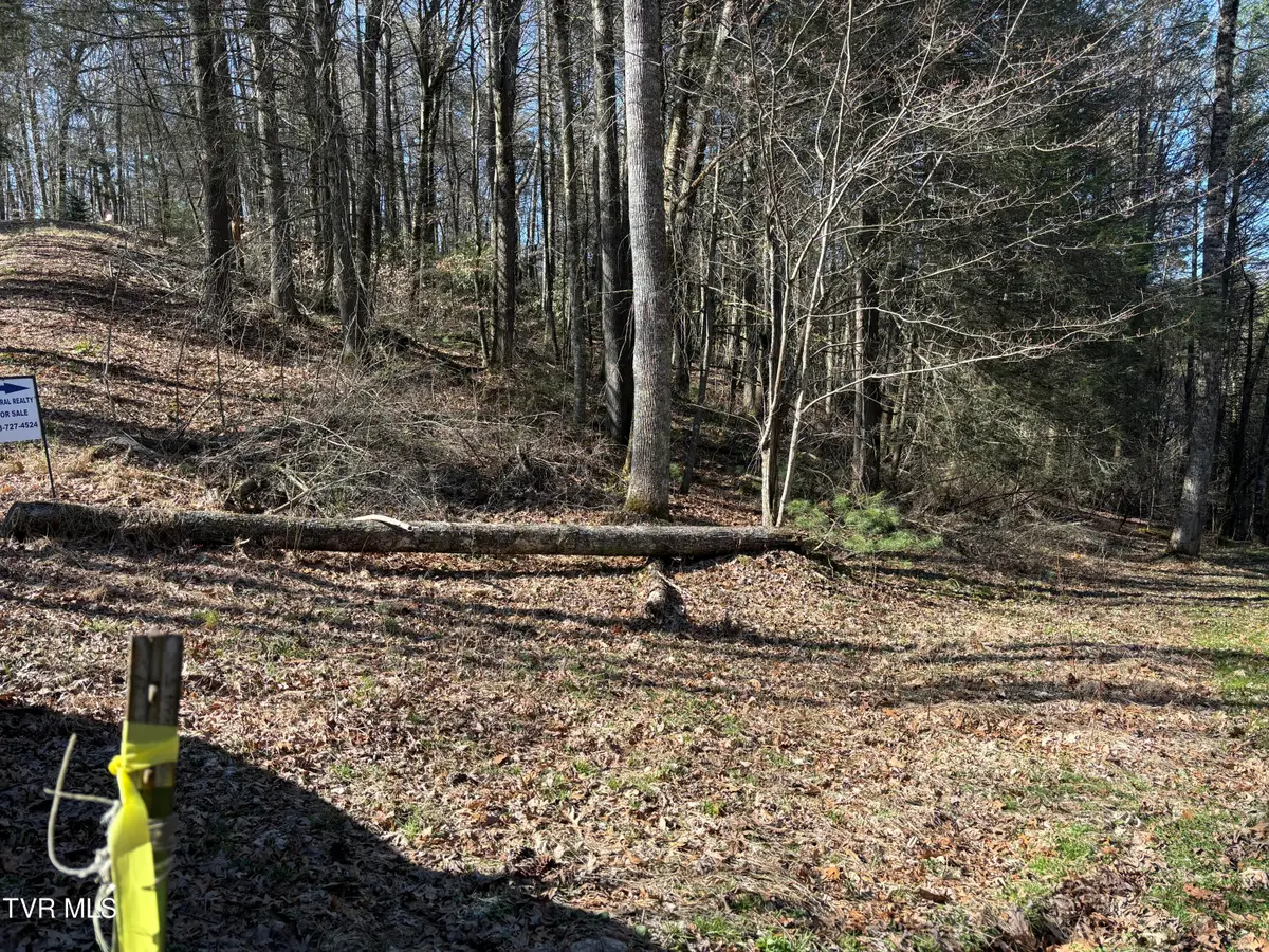 445 Possum Valley Road, Laurel Bloomery, TN 37680 - #1