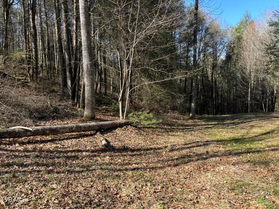 445 Possum Valley Road, Laurel Bloomery, TN 37680 - #2
