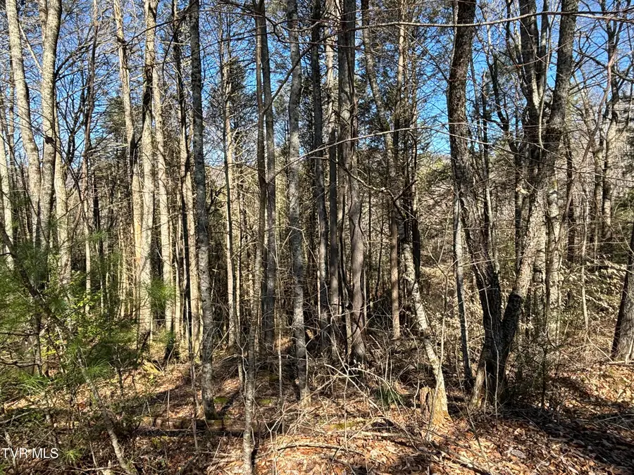 445 Possum Valley Road, Laurel Bloomery, TN 37680 - #3