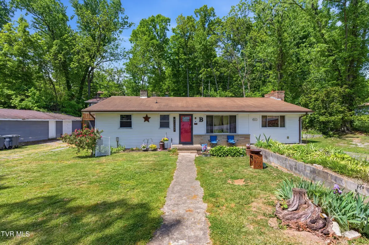 433 Mimosa Street, Mount Carmel, TN 37645 - #1