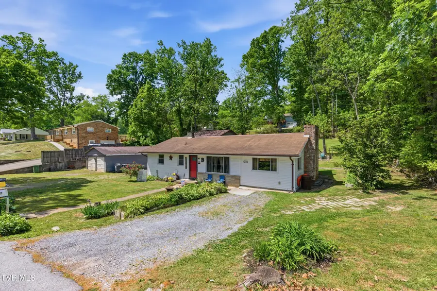 433 Mimosa Street, Mount Carmel, TN 37645 - #2