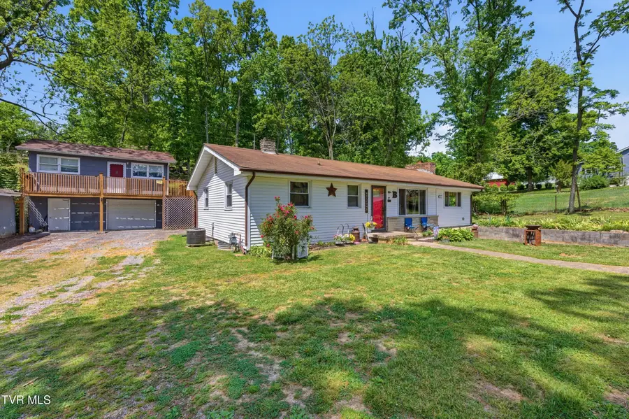 433 Mimosa Street, Mount Carmel, TN 37645 - #3