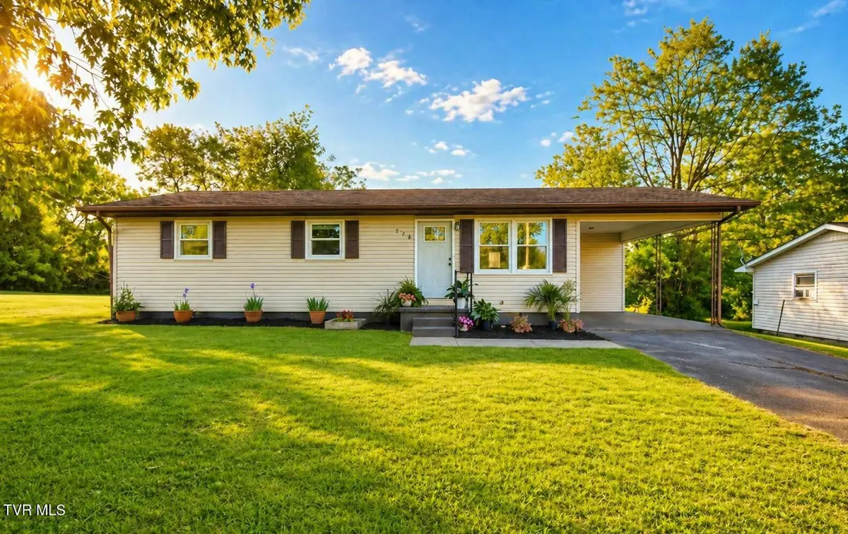 728 South Lynn Avenue, Elizabethton, TN 37643 - #1